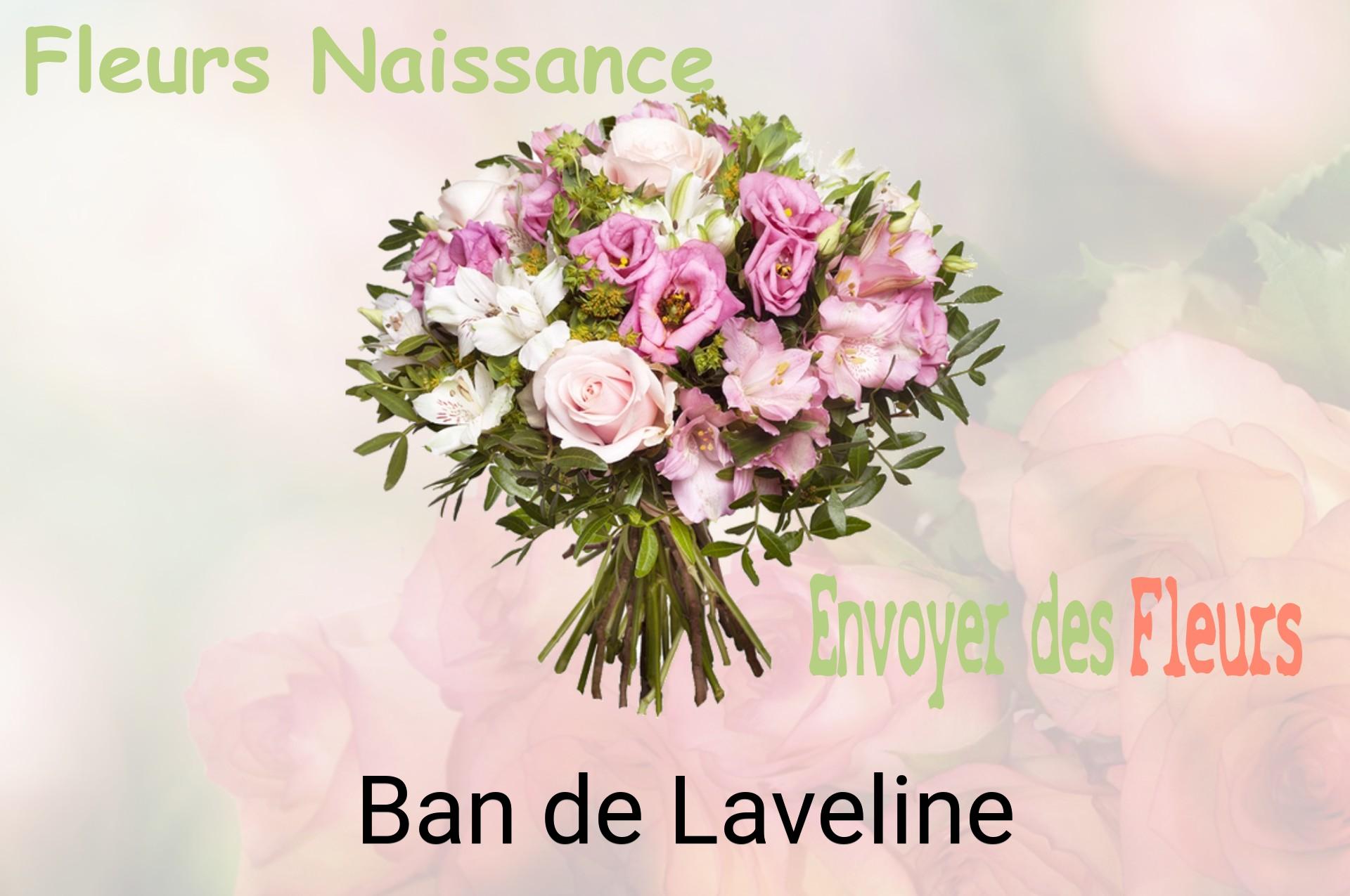 Bouquet de fleurs de naissance livré à Ban-de-Laveline